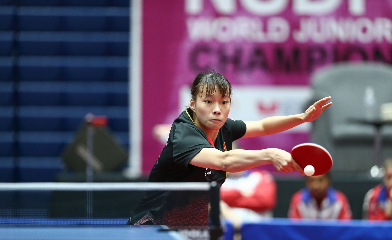 更替的过程 更替的过程